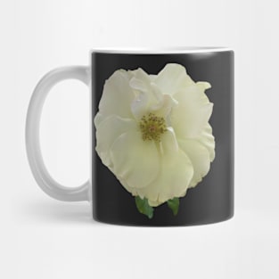 Floribunda Rose Flower BR Mug